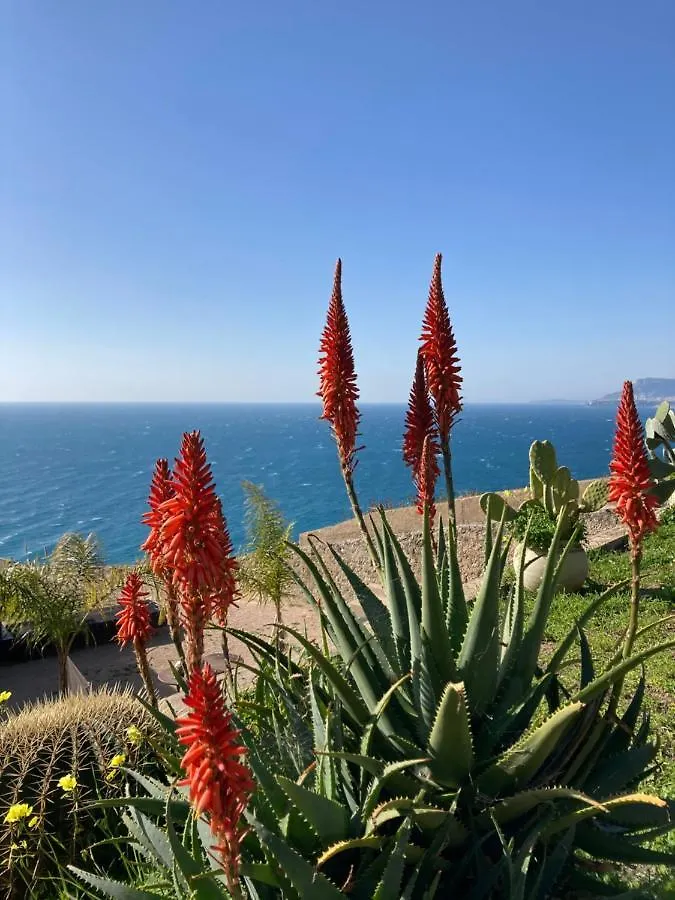 Bed & Breakfast B&Bilfortesulmare Ventimiglia Italia