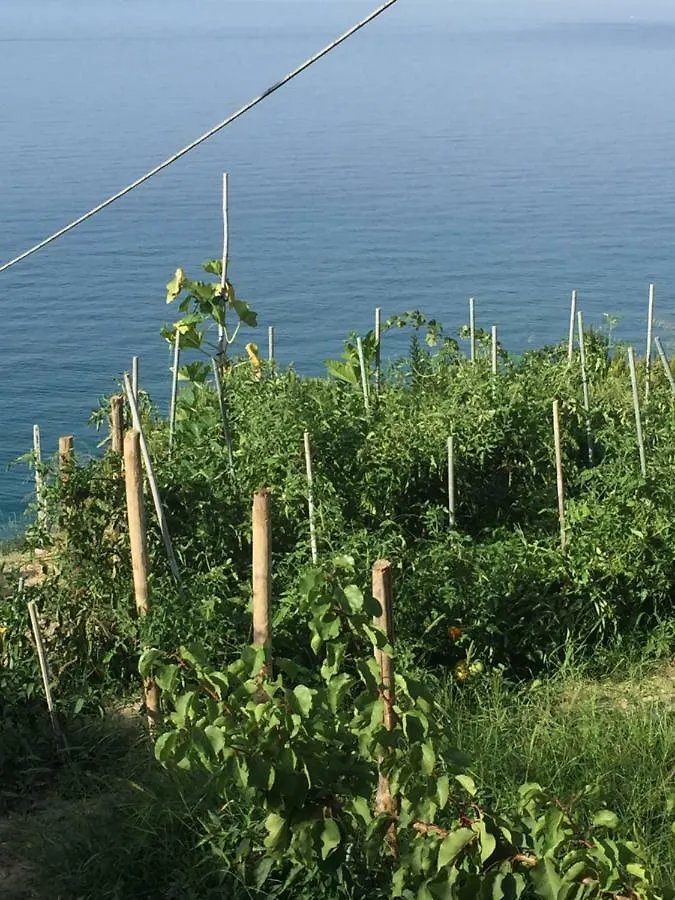 B&Bilfortesulmare Ventimiglia Italy