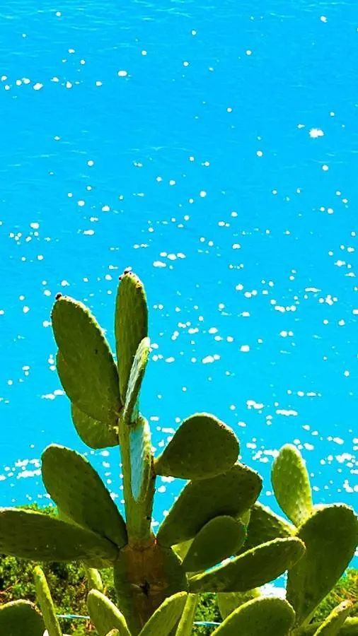 B&Bilfortesulmare Ventimiglia Bed & Breakfast